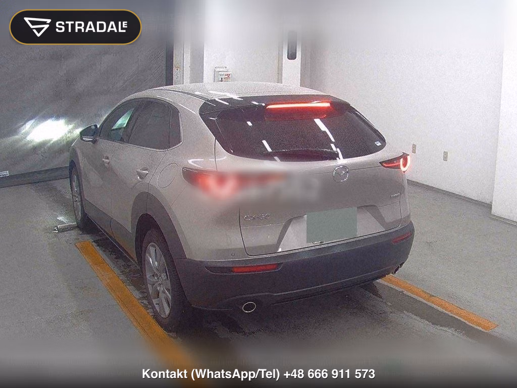 MAZDA CX-30 20S PROACTIVE TOURING SELECTION, miniaturka 3