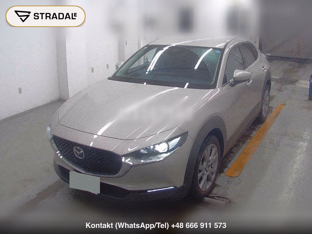MAZDA CX-30 20S PROACTIVE TOURING SELECTION, miniaturka 5