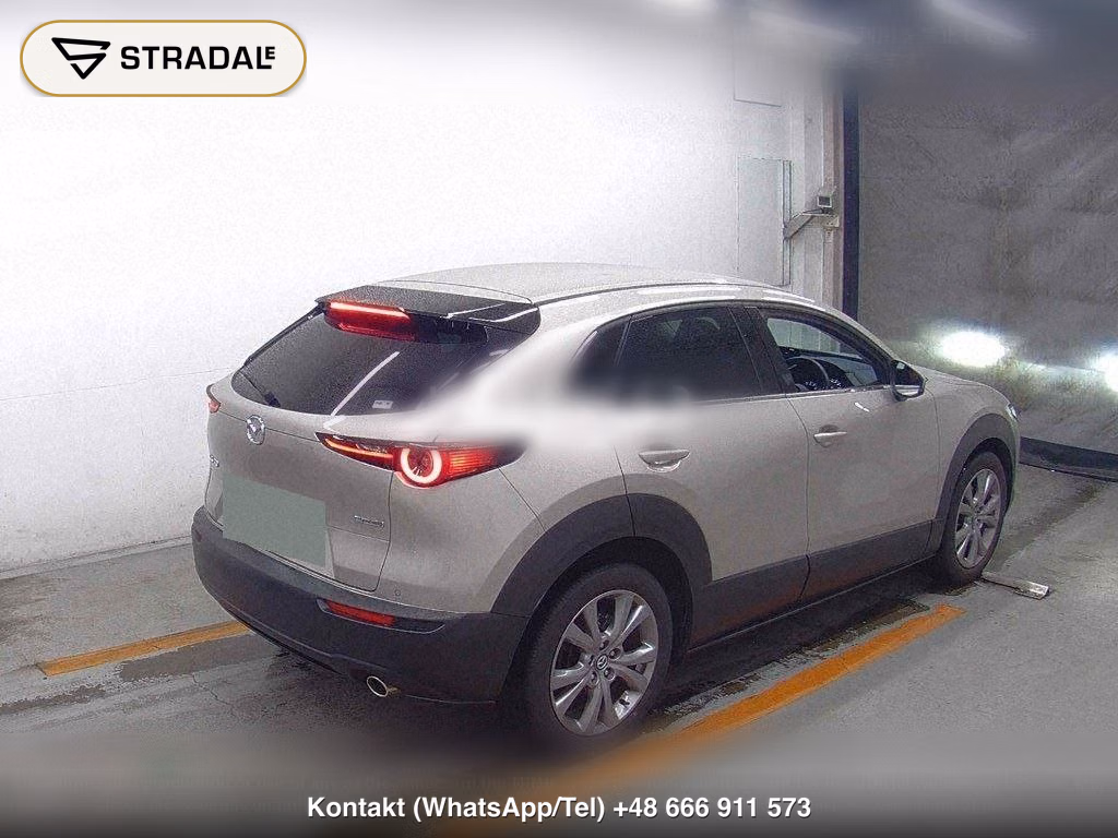 MAZDA CX-30 20S PROACTIVE TOURING SELECTION, miniaturka 6
