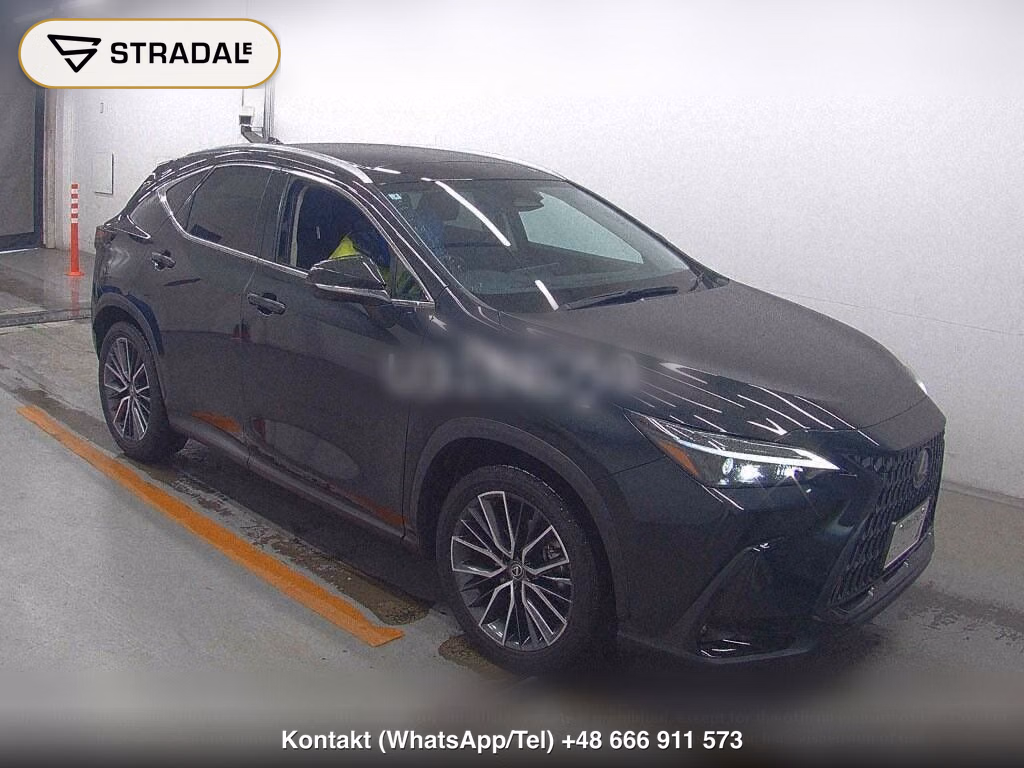 LEXUS NX NX250, miniaturka 2