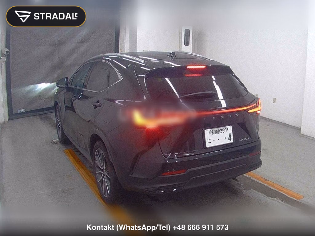 LEXUS NX NX250, miniaturka 3