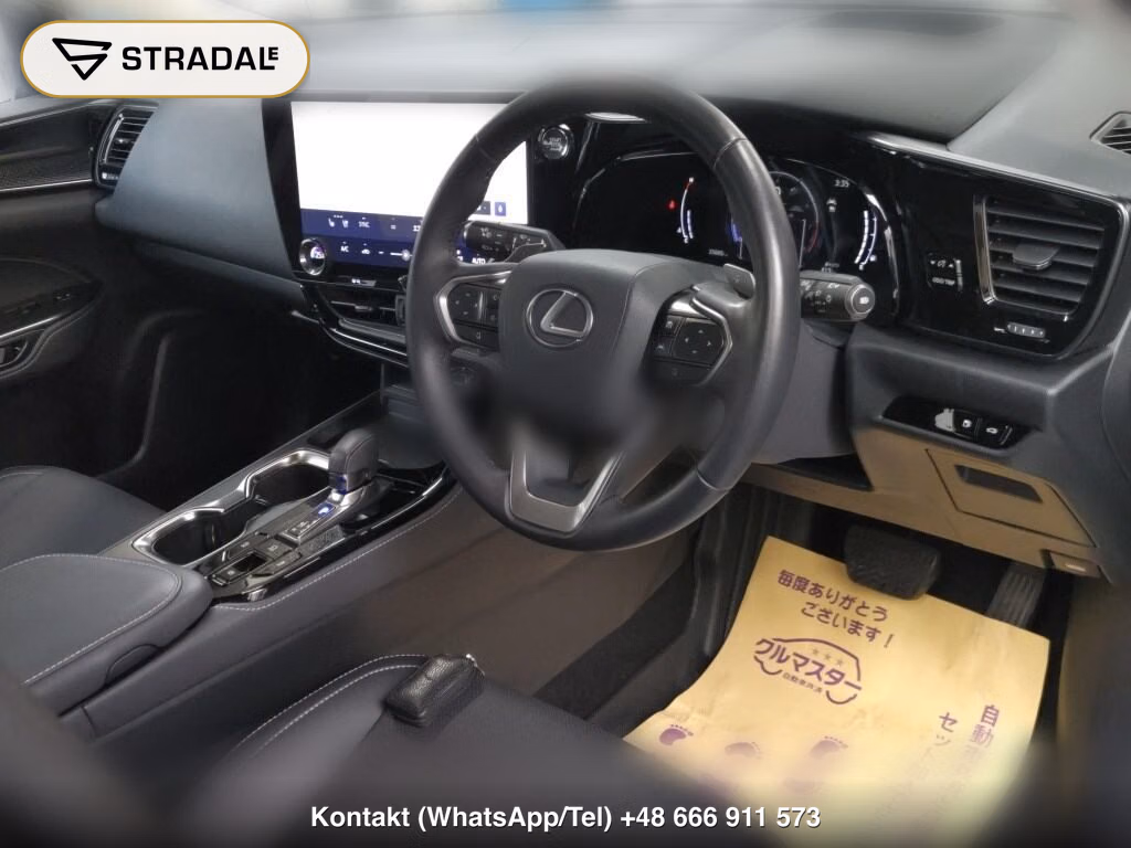 LEXUS NX NX250, miniaturka 4