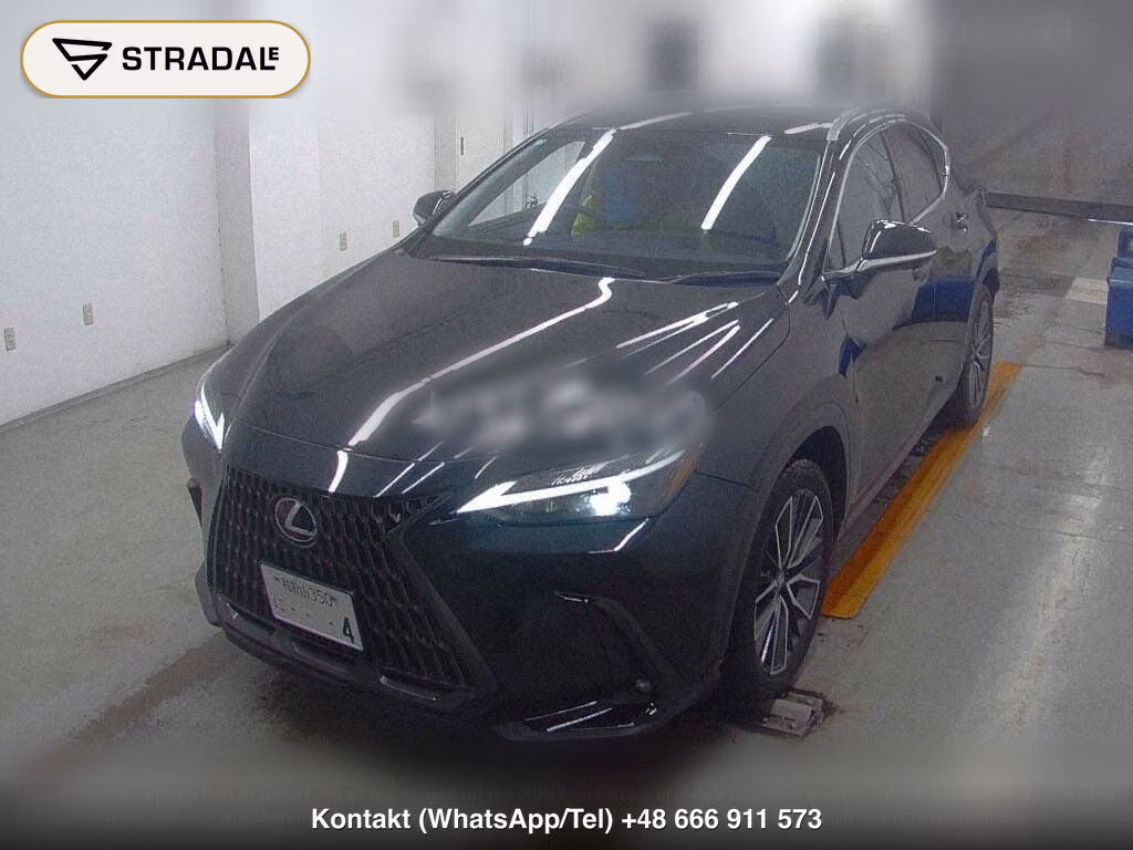 LEXUS NX NX250, miniaturka 5