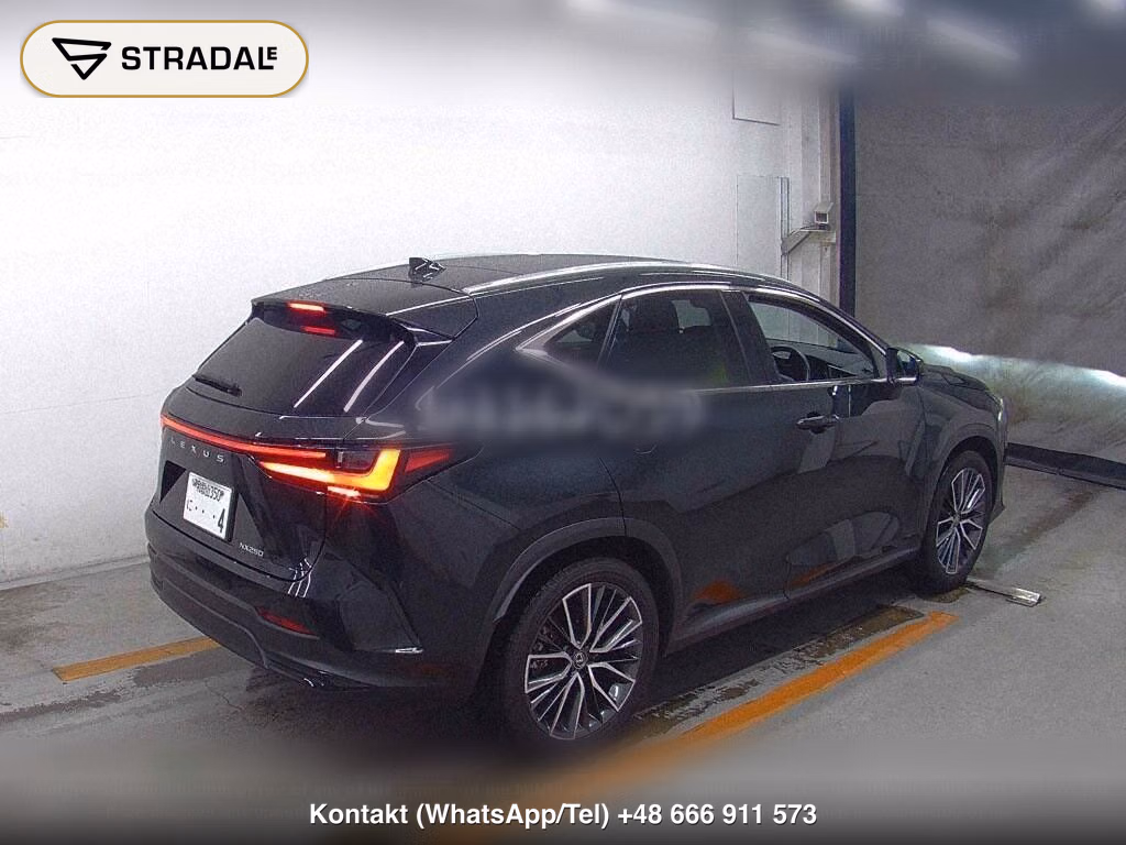 LEXUS NX NX250, miniaturka 6