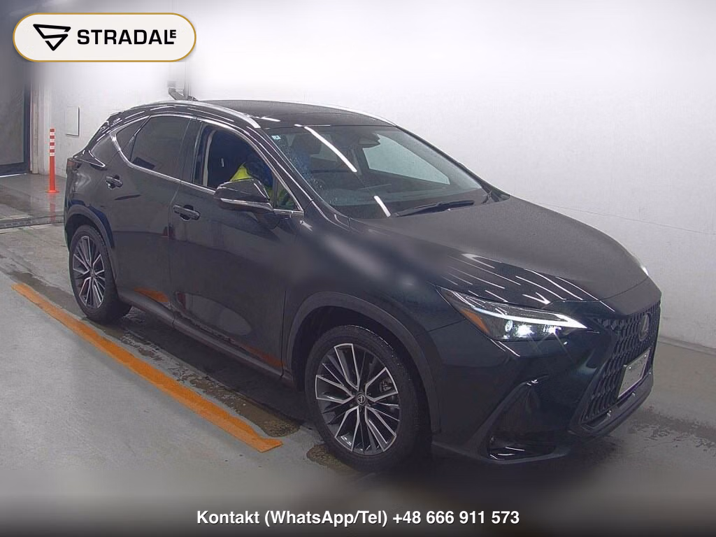 LEXUS NX NX250 2025, aukcja z Japonii, zdjęcie 1