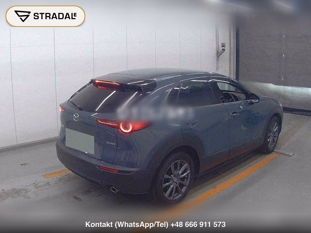 MAZDA CX-30 XD L PACKAGE, miniaturka 6