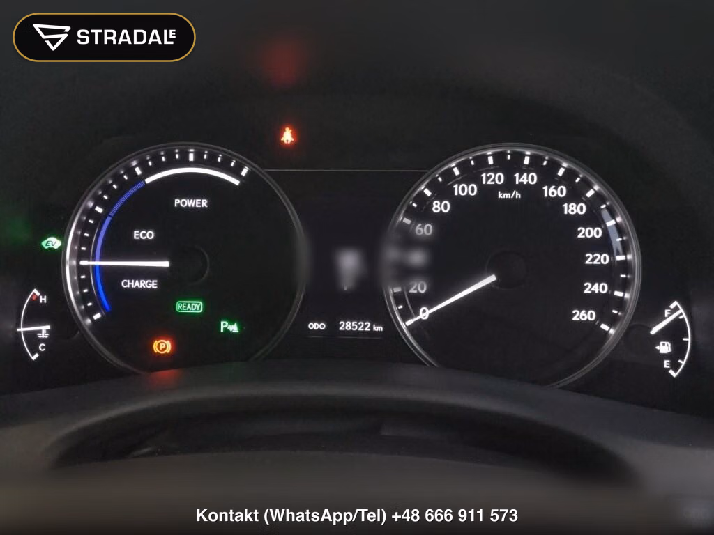 LEXUS GS GS300H F SPORT X LINE, miniaturka 7