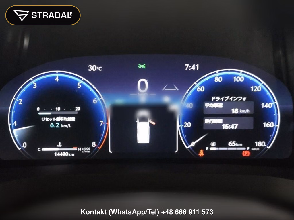 TOYOTA ALPHARD Z, miniaturka 7