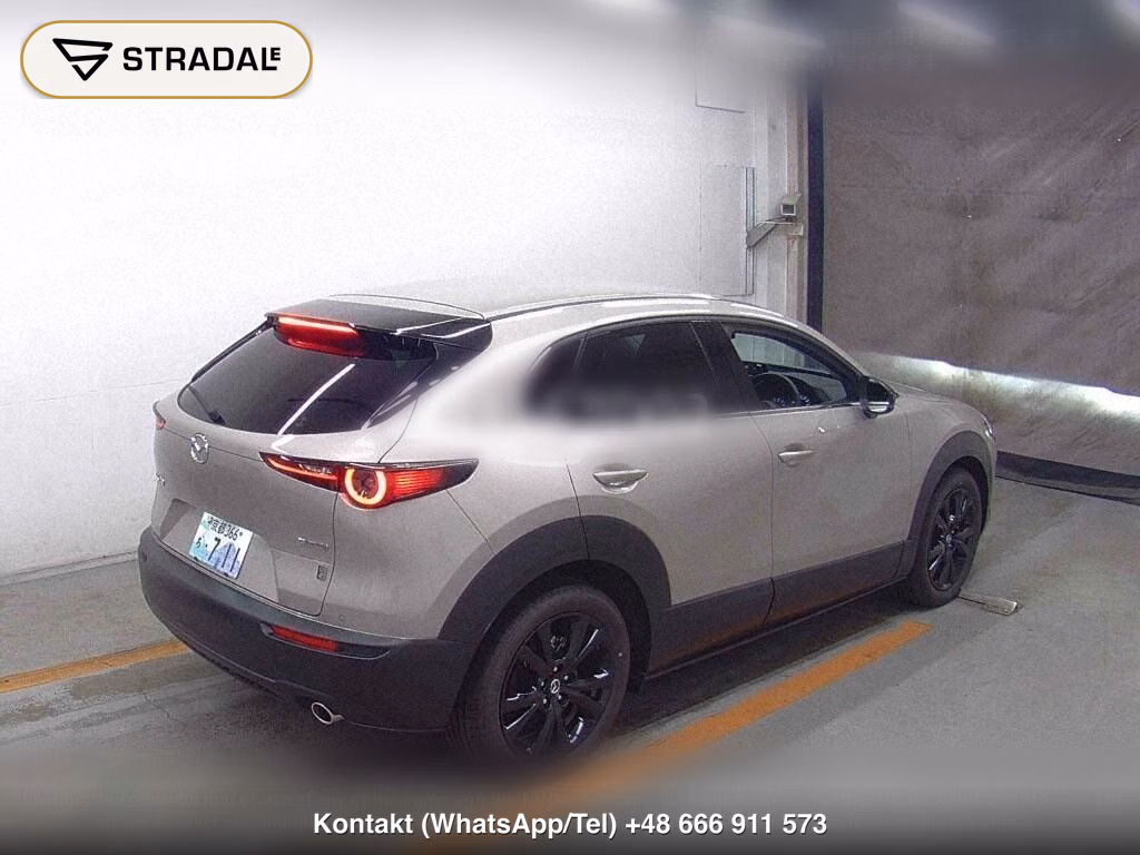 MAZDA CX-30 20S RETRO SPORTS EDITION, miniaturka 6