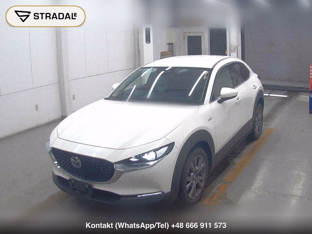 MAZDA CX-30 X PROACTIVE TOURING SELECTION, miniaturka 4