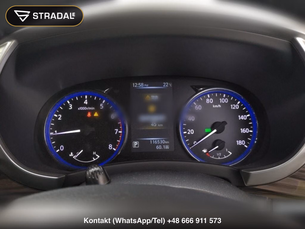 NISSAN ELGRAND 5D 250 HIGHWAY STAR, miniaturka 7