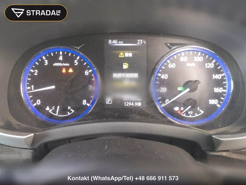 NISSAN ELGRAND 5D 250 HIGHWAY STAR, miniaturka 7