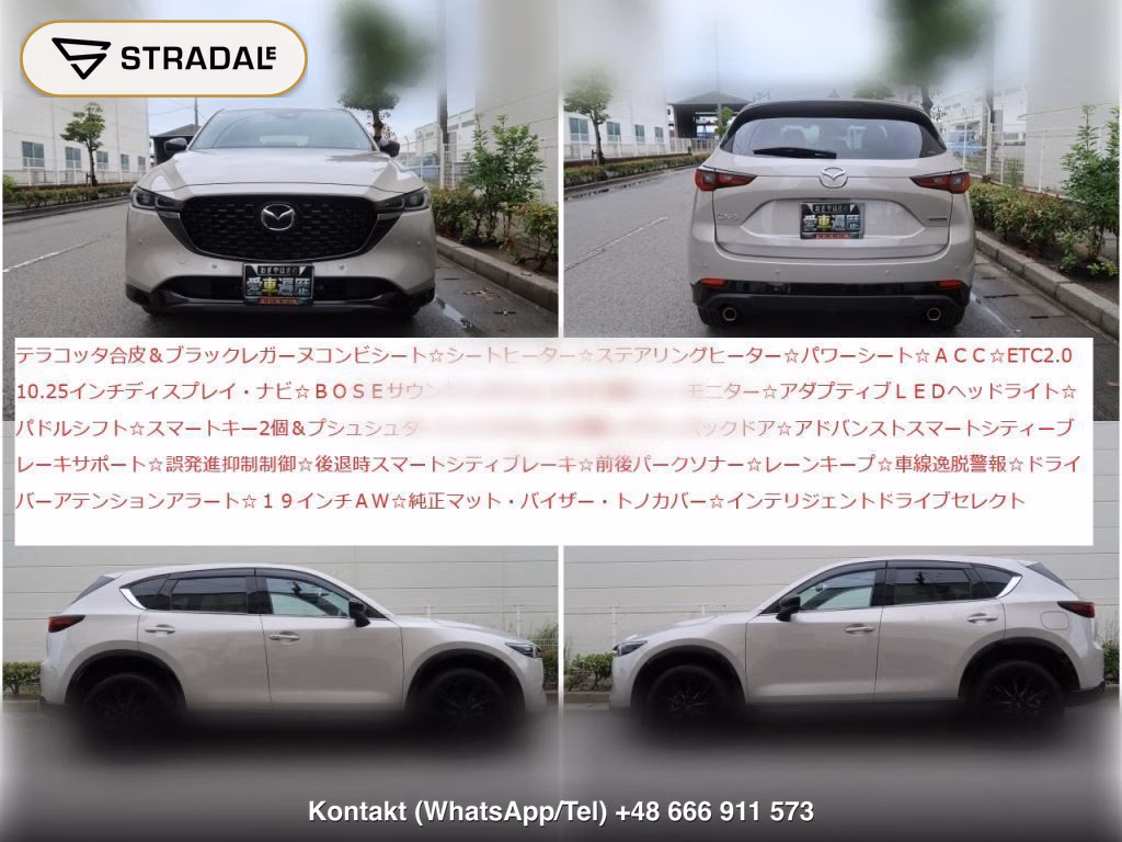 MAZDA CX-5 20S RETRO SPORTS EDITION, miniaturka 6