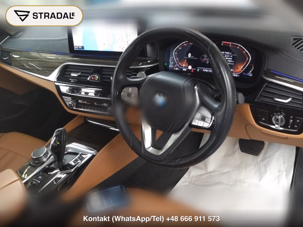 BMW 5 SERIES WG 4WD 523D XDRIVE TOURING LUXURY EDITION JOY+, miniaturka 4