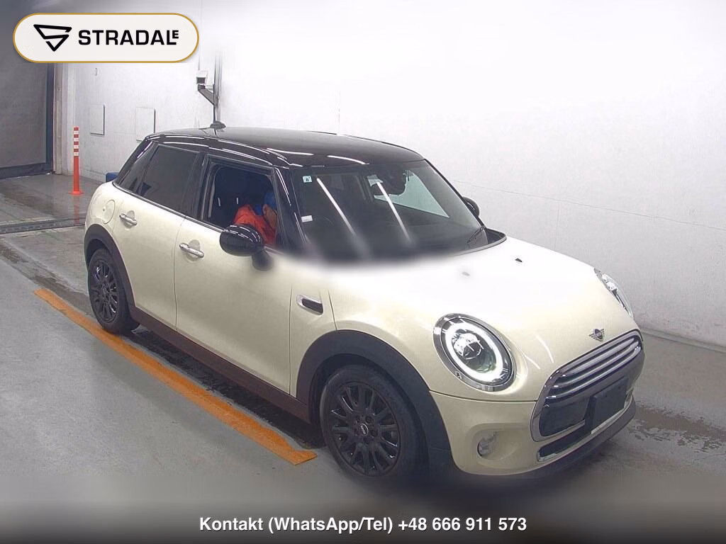 MINI MINI 5D OTHERS 2019, aukcja z Japonii, zdjęcie 1