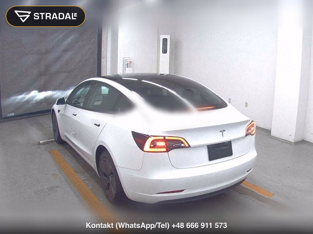 TESLA MODEL 3 STANDARD RANGE PLUS, miniaturka 3