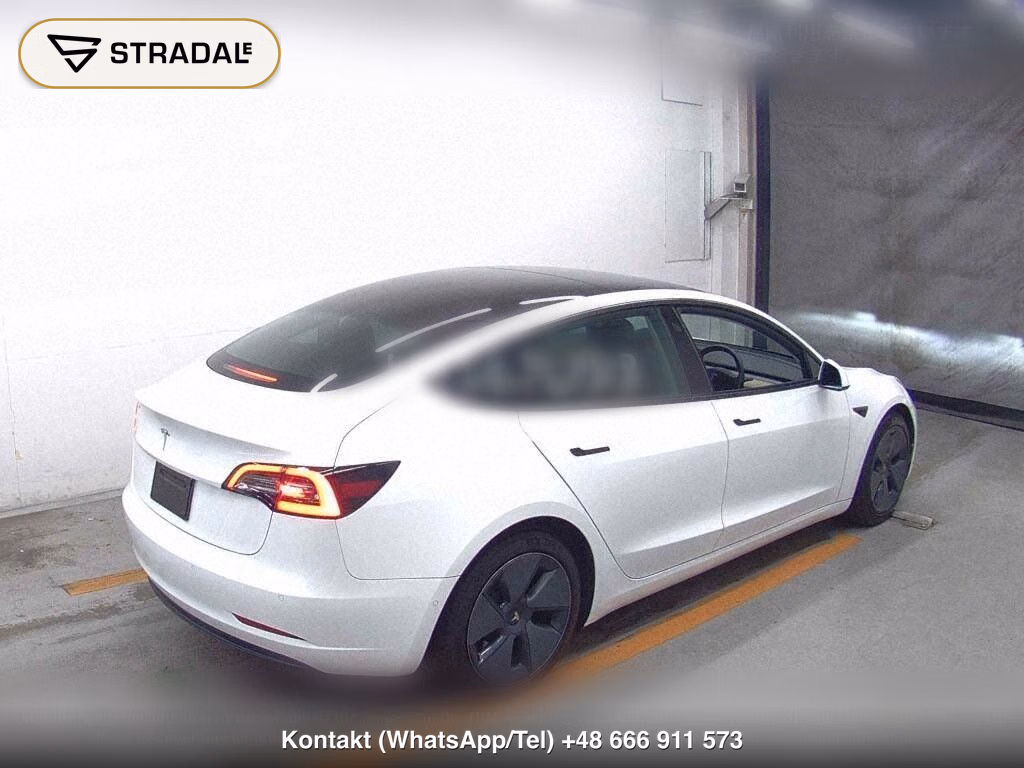 TESLA MODEL 3 STANDARD RANGE PLUS, miniaturka 6