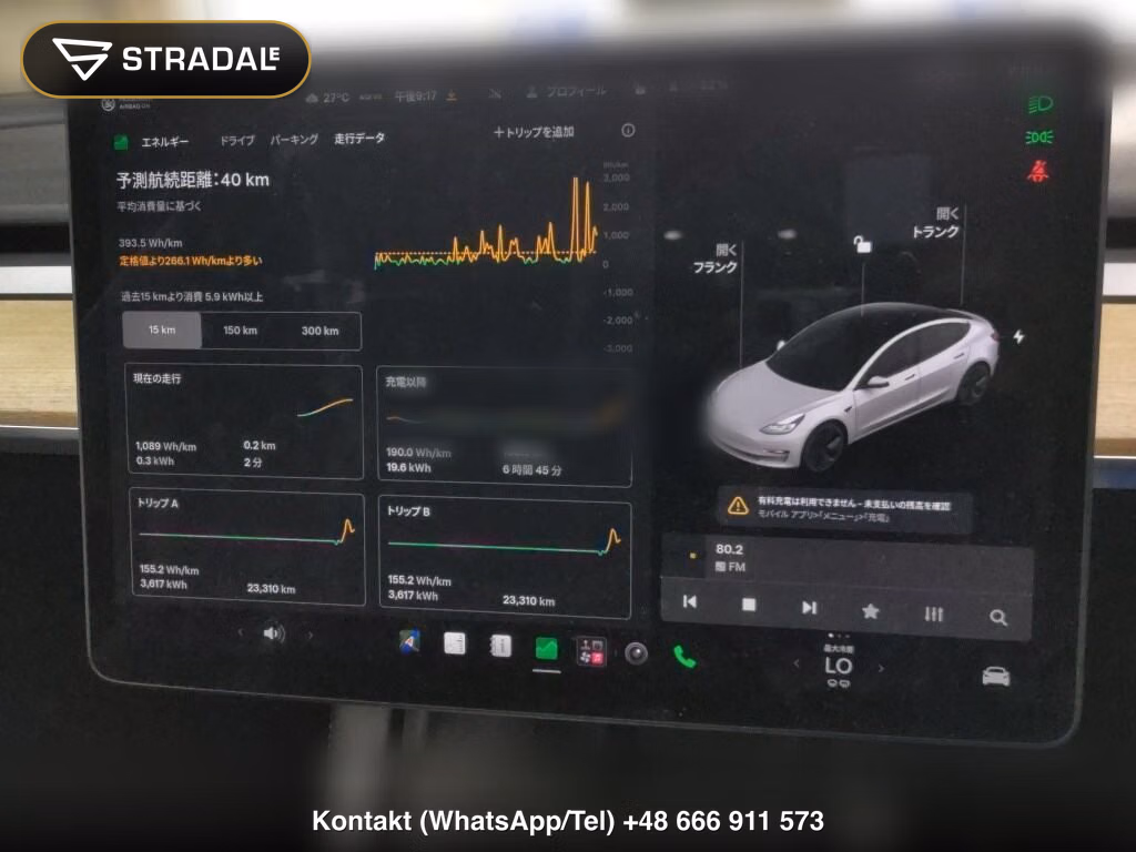 TESLA MODEL 3 STANDARD RANGE PLUS, miniaturka 7