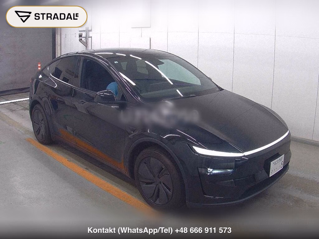 TESLA MODEL Y RWD, miniaturka 2
