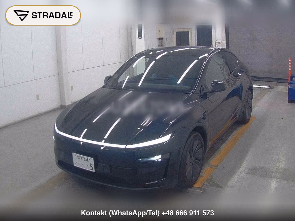 TESLA MODEL Y RWD, miniaturka 5