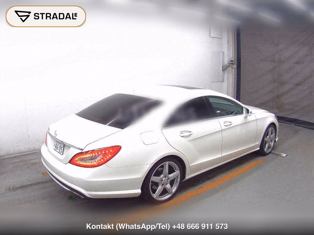 MERCEDES BENZ CLS-CLASS CLS350 AMG SPORTS PACKAGE, miniaturka 6