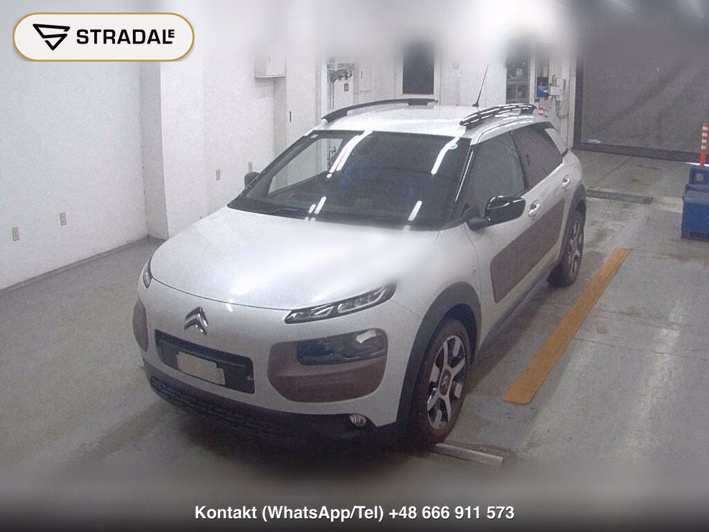 CITROEN C4 CACTUS BASE GRADE, miniaturka 5