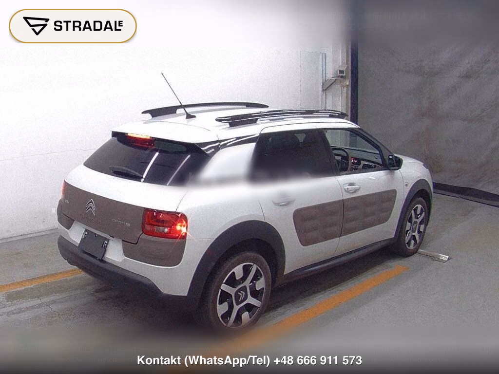CITROEN C4 CACTUS BASE GRADE, miniaturka 6