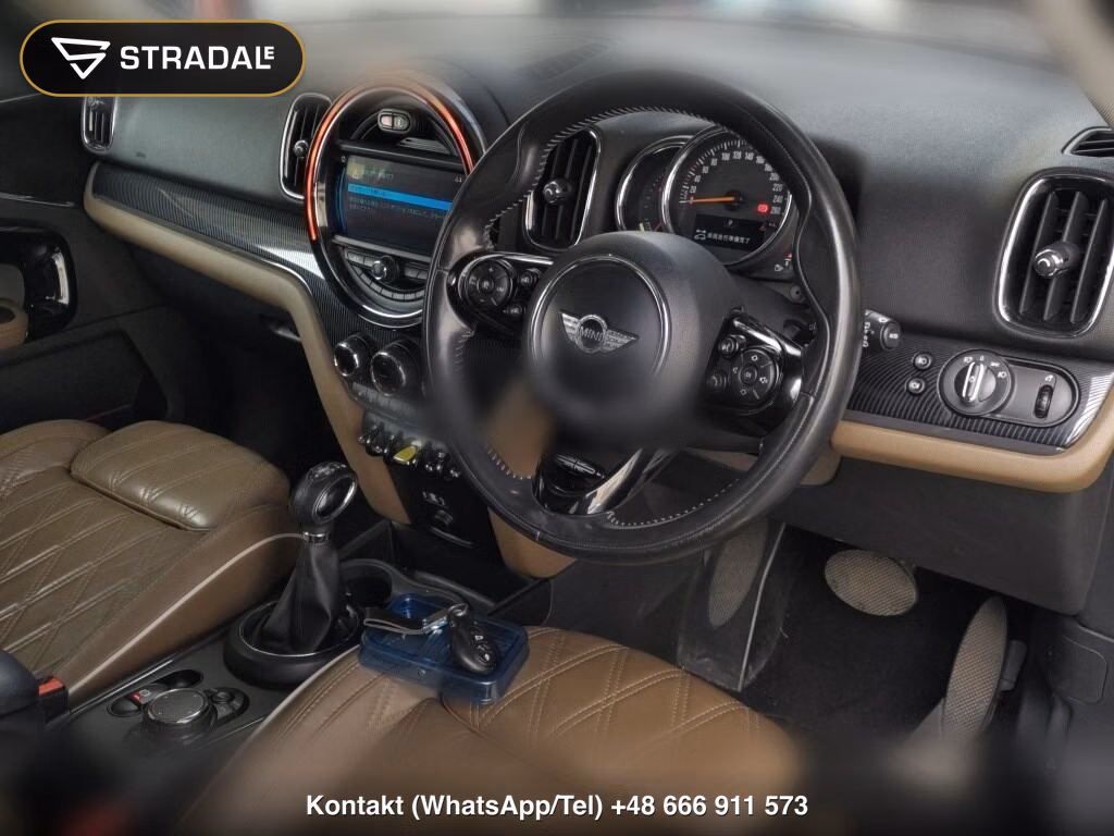 MINI MINI 5D 4WD COOPER SE CROSSOVER ALL 4, miniaturka 4