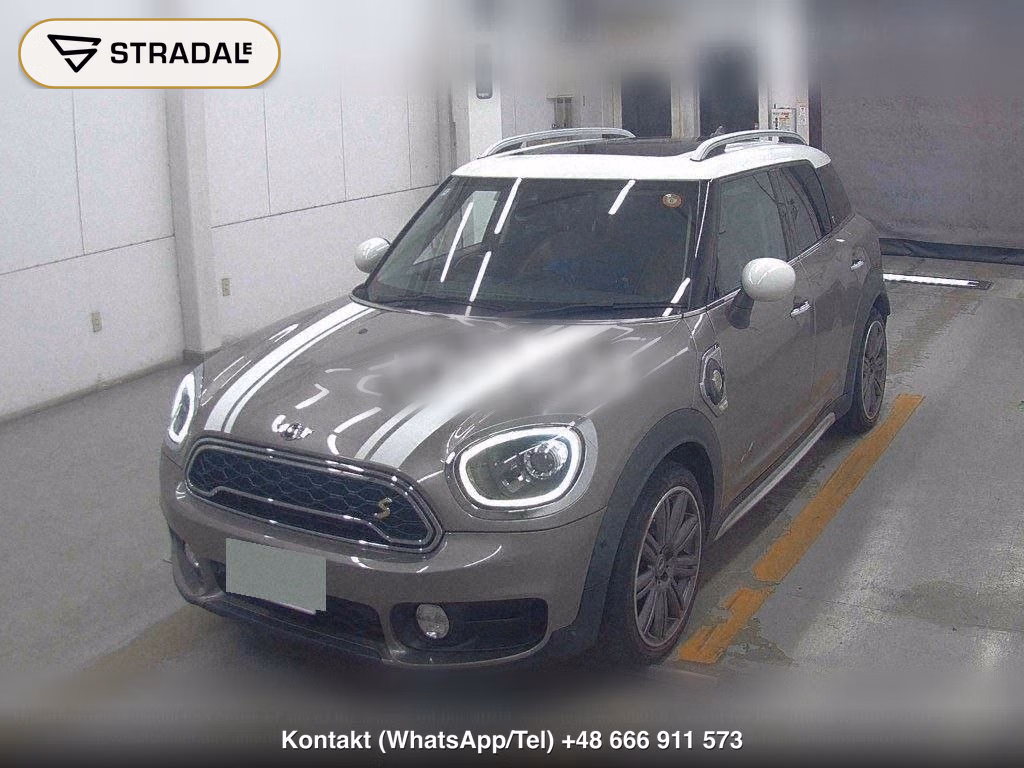 MINI MINI 5D 4WD COOPER SE CROSSOVER ALL 4, miniaturka 5