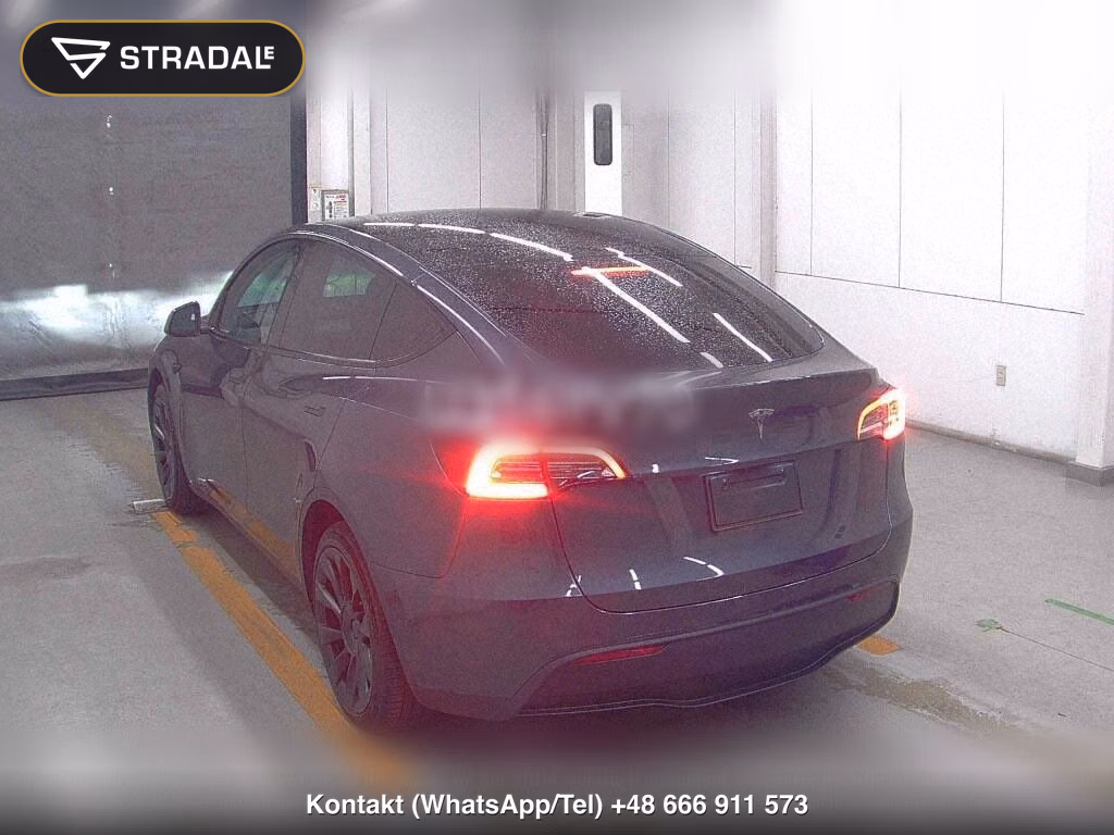 TESLA MODEL Y RWD, miniaturka 3
