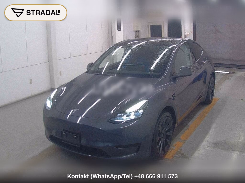 TESLA MODEL Y RWD, miniaturka 5