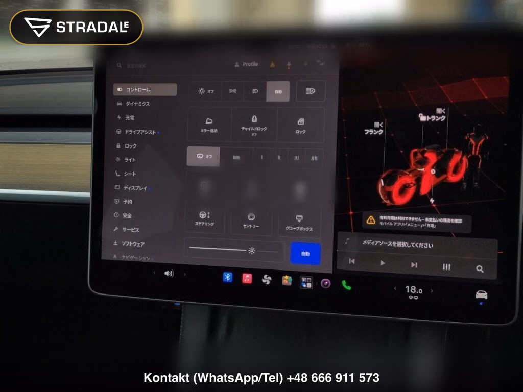 TESLA MODEL Y RWD, miniaturka 7
