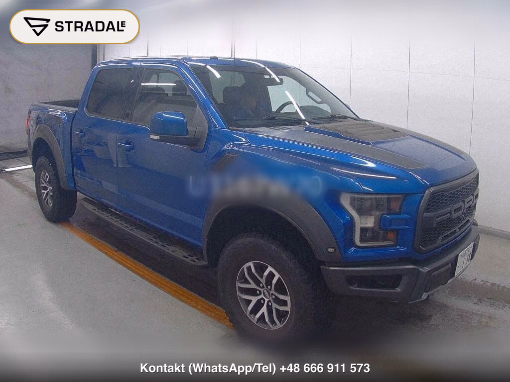 FORD F-150 4D 4WD SVT RAPTOR, miniaturka 2