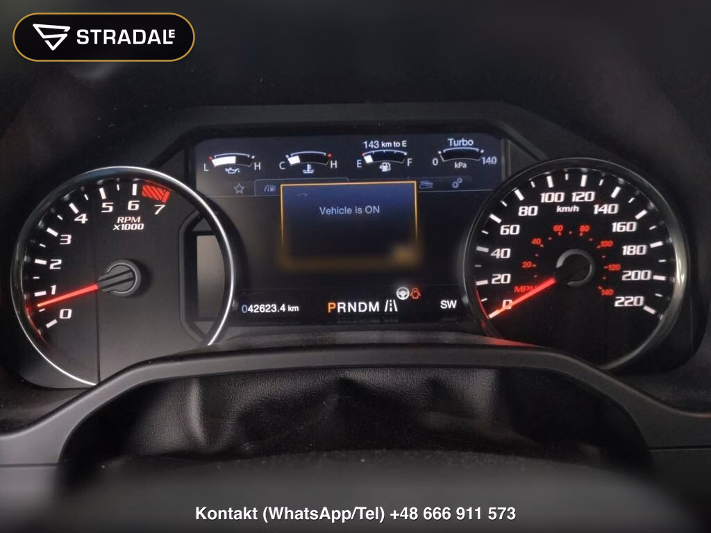 FORD F-150 4D 4WD SVT RAPTOR, miniaturka 7