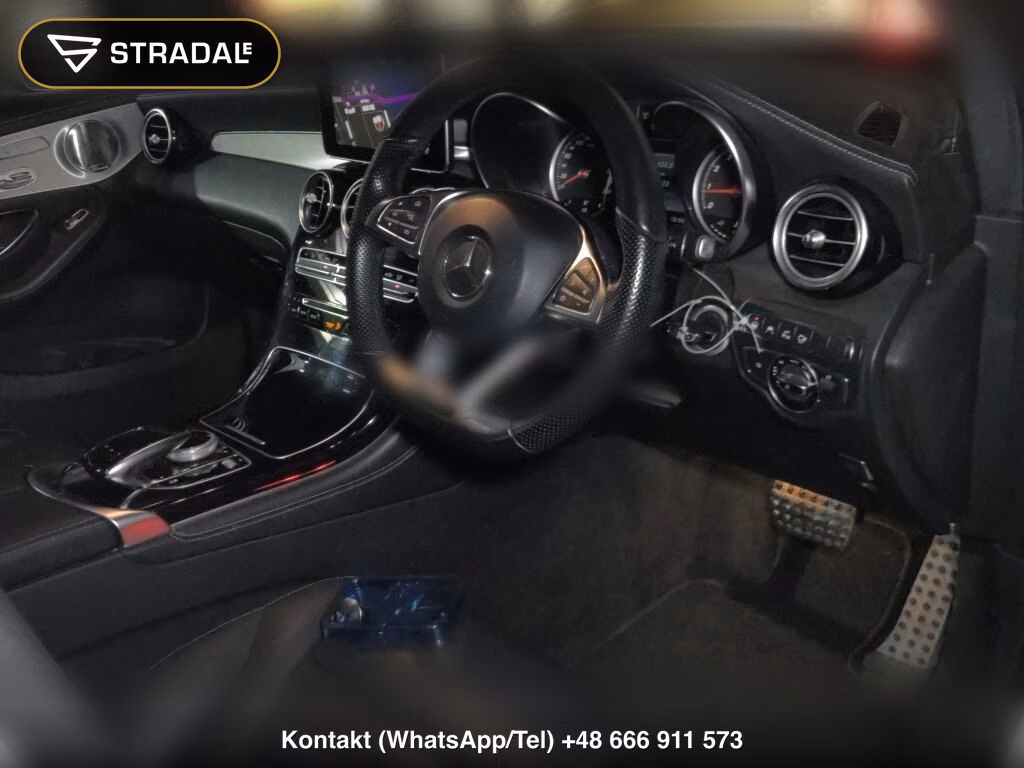 MERCEDES BENZ GLC-CLASS 4WD GLC250 4MATIC SPORTS (LEATHER VERSION), miniaturka 4
