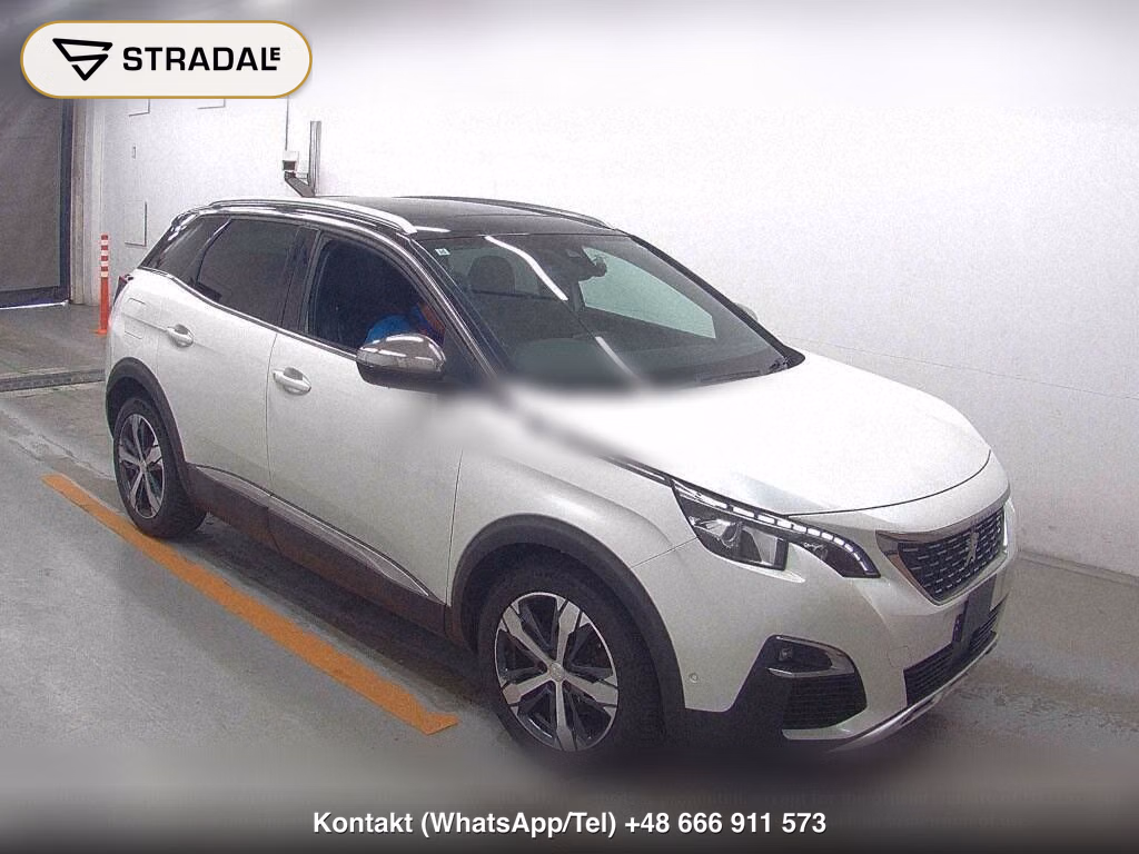 PEUGEOT 3008 OTHERS, miniaturka 2