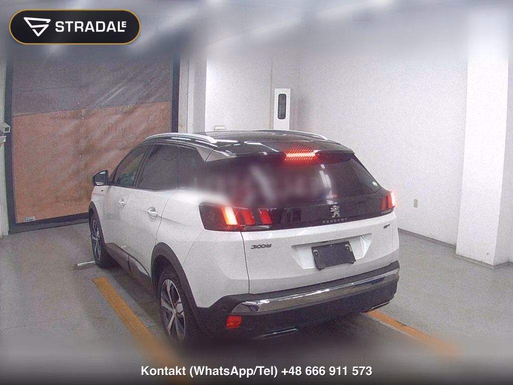 PEUGEOT 3008 OTHERS, miniaturka 3