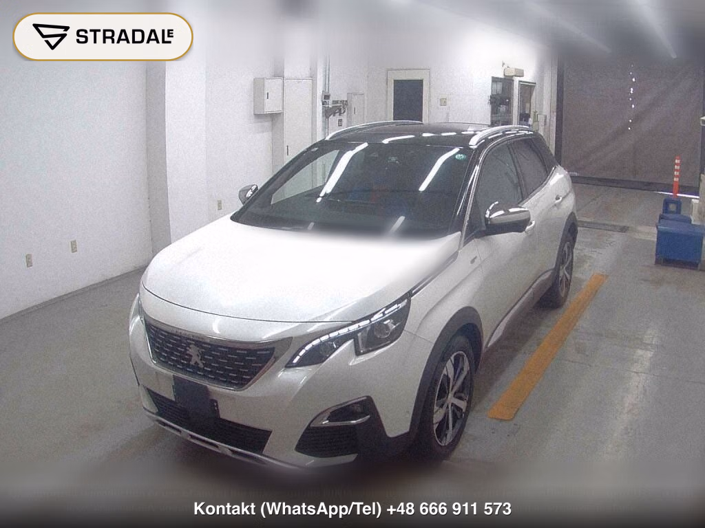 PEUGEOT 3008 OTHERS, miniaturka 5