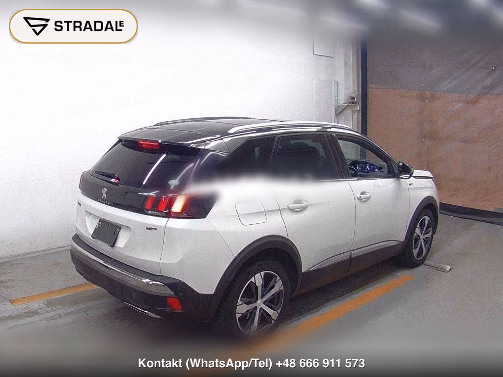 PEUGEOT 3008 OTHERS, miniaturka 6