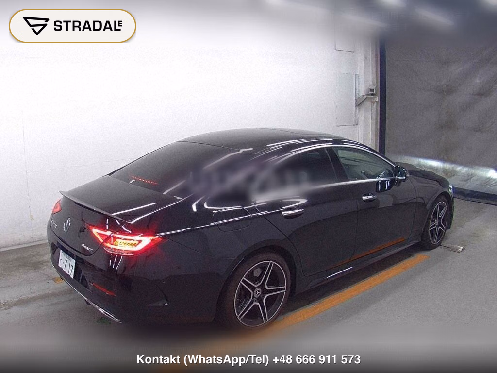 MERCEDES BENZ CLS-CLASS 4WD CLS450 4MATIC SPORTS, miniaturka 6