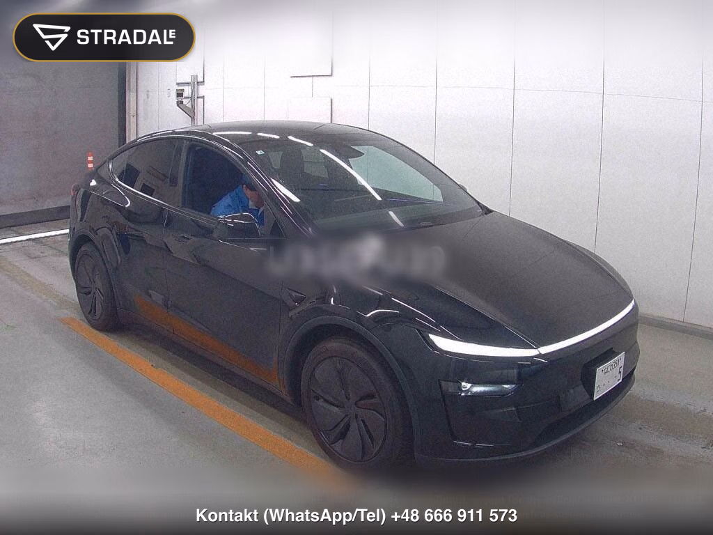 TESLA MODEL Y RWD, miniaturka 2
