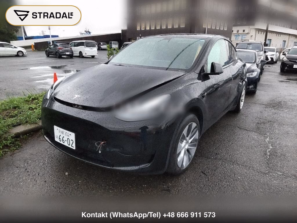 TESLA MODEL Y RWD, miniaturka 5