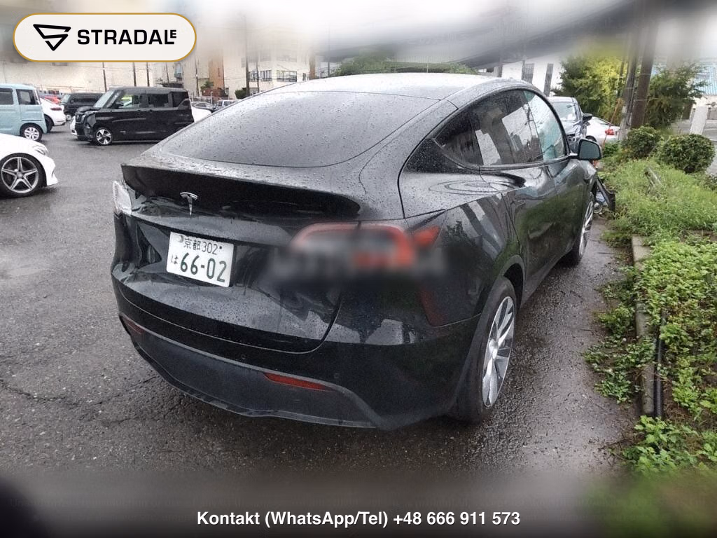 TESLA MODEL Y RWD, miniaturka 6