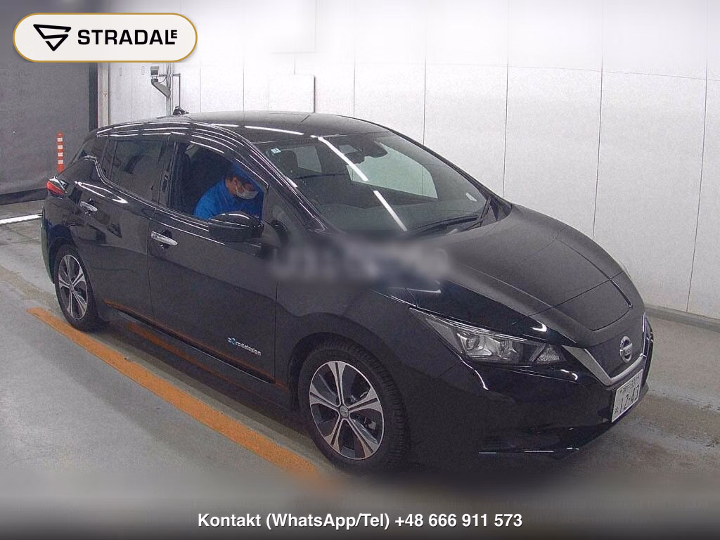 NISSAN LEAF X 10 THOUSAND UNITS MEMORIAL CAR, miniaturka 2