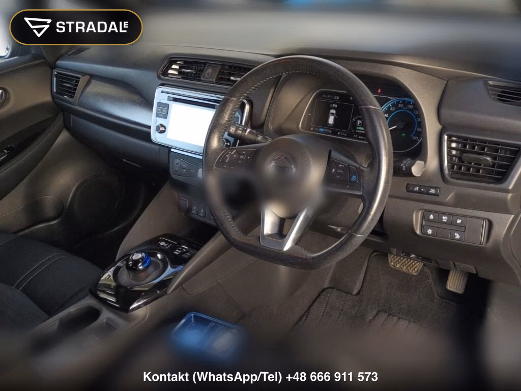 NISSAN LEAF X 10 THOUSAND UNITS MEMORIAL CAR, miniaturka 4