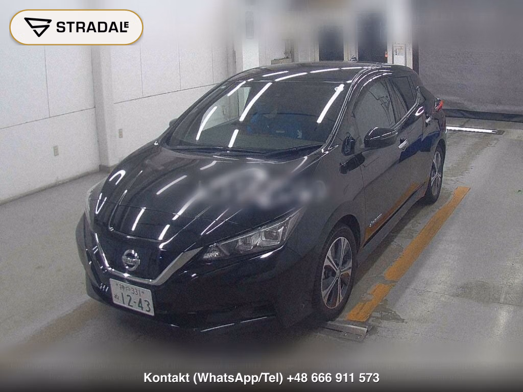 NISSAN LEAF X 10 THOUSAND UNITS MEMORIAL CAR, miniaturka 5