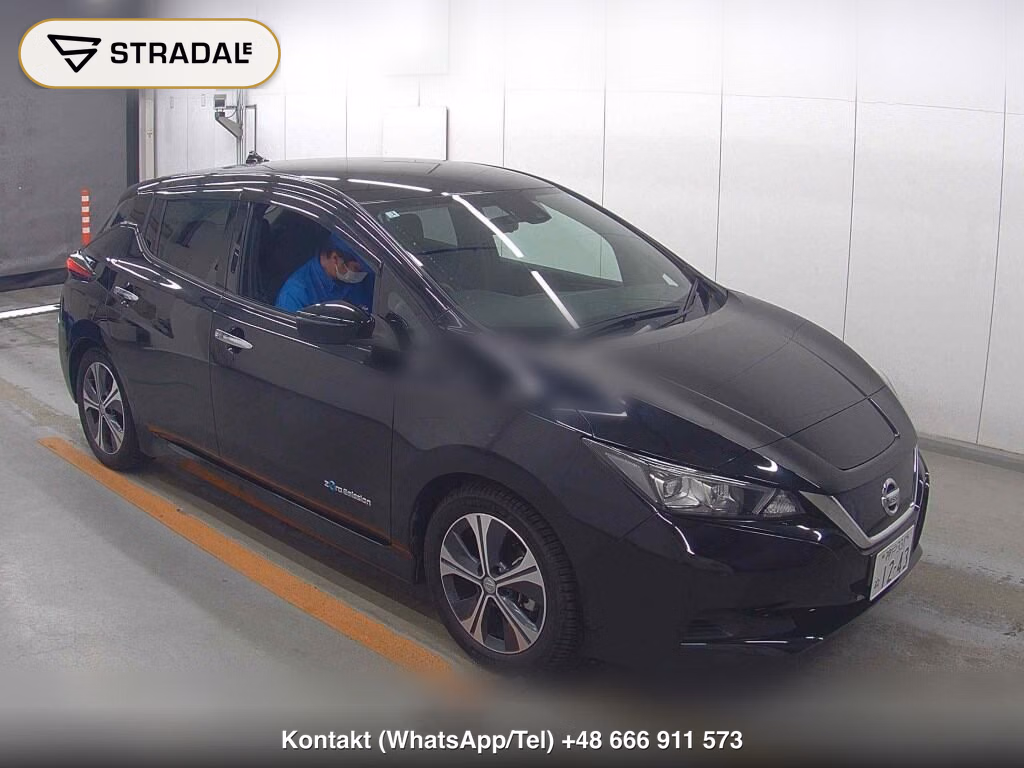 NISSAN LEAF X 10 THOUSAND UNITS MEMORIAL CAR 2019, aukcja z Japonii, zdjęcie 1