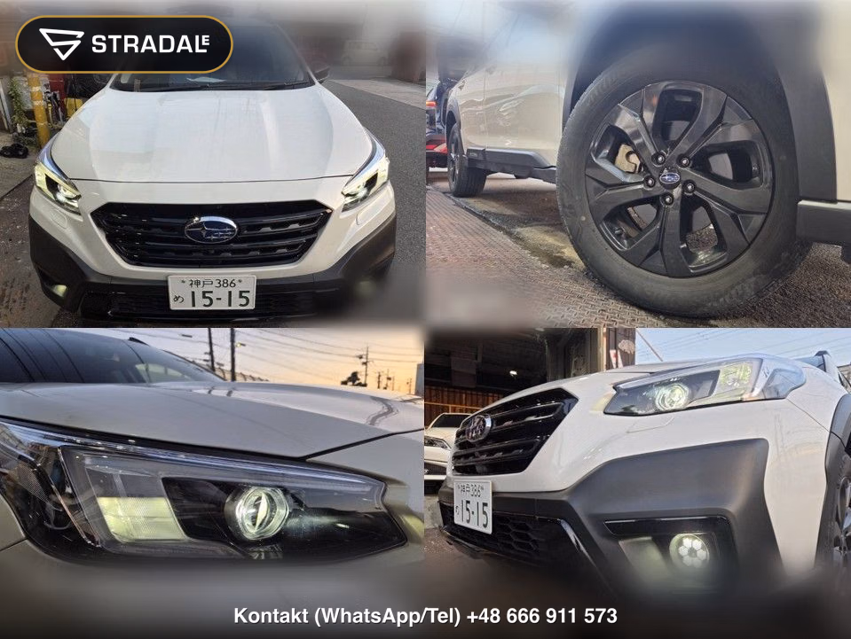 SUBARU OUTBACK 4WD X-BREAK EX, miniaturka 9