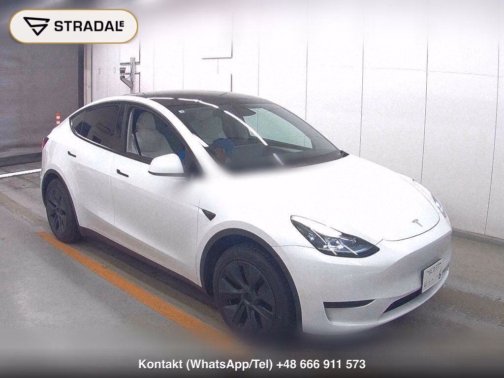 TESLA MODEL Y RWD, miniaturka 2