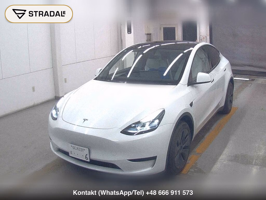 TESLA MODEL Y RWD, miniaturka 5